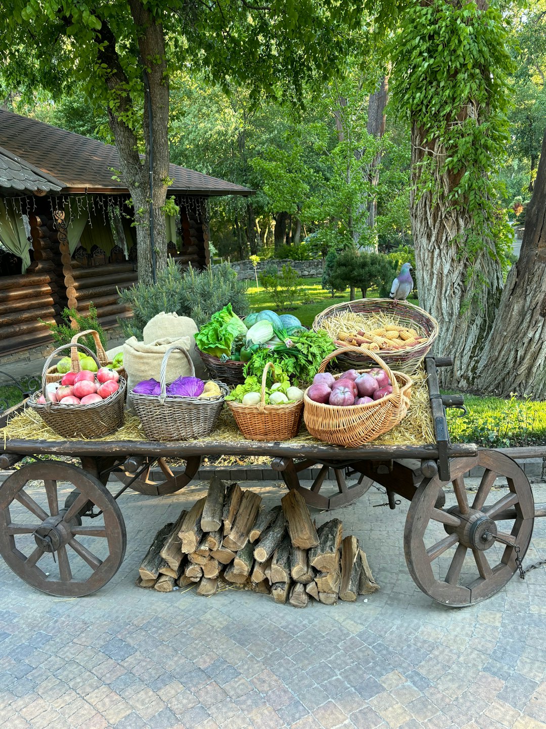 A rustic cart filled with fresh produce sits by a cabin.
